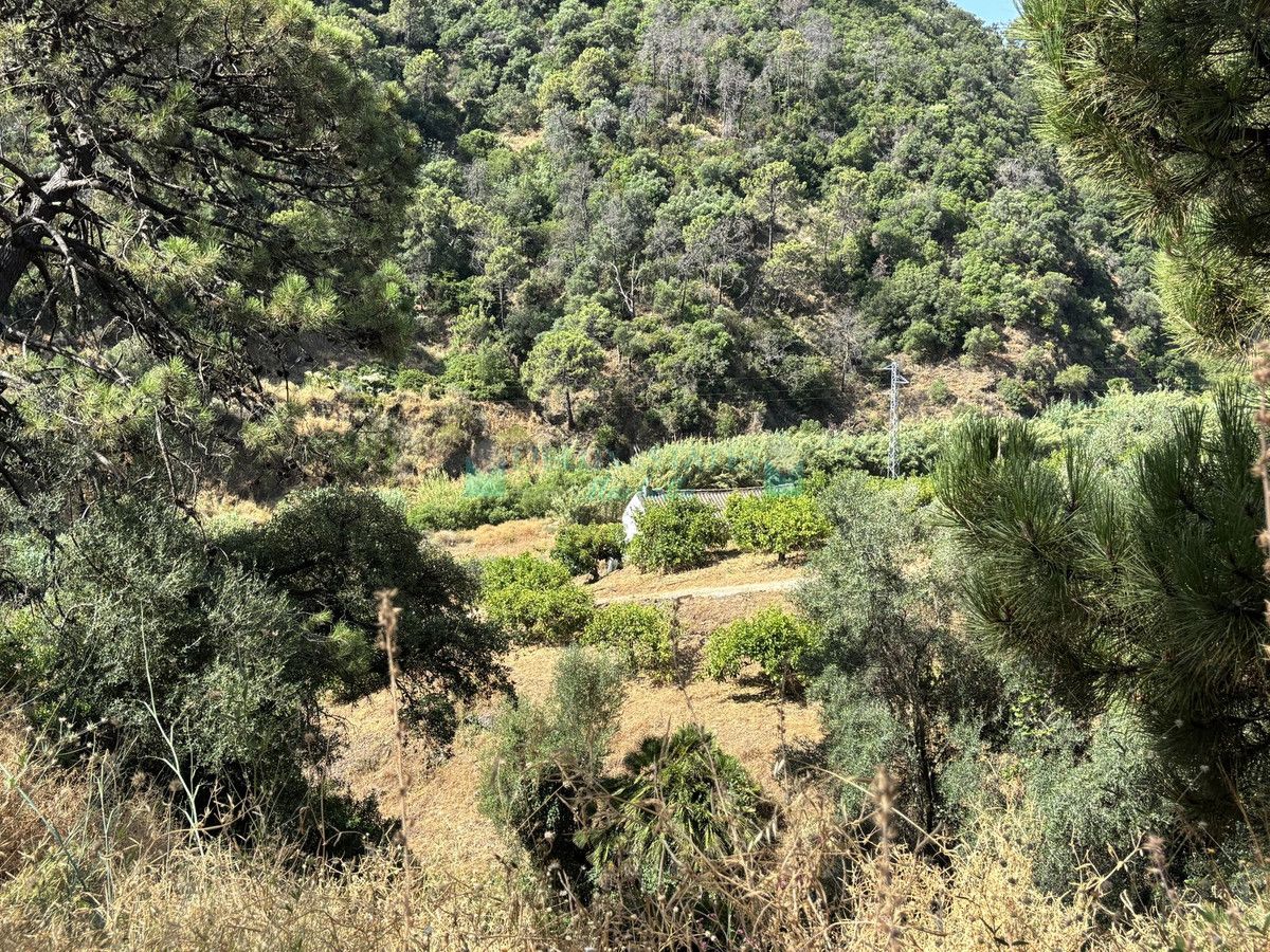 Parcela en venta en El Padron, Estepona