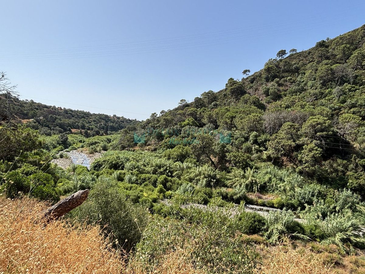 Parcela en venta en El Padron, Estepona