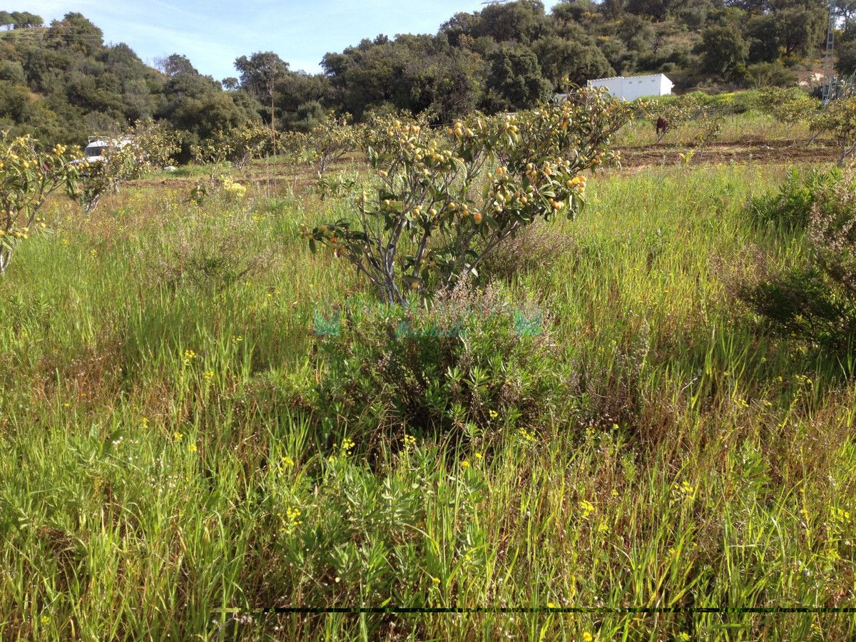 Plot for sale in Estepona