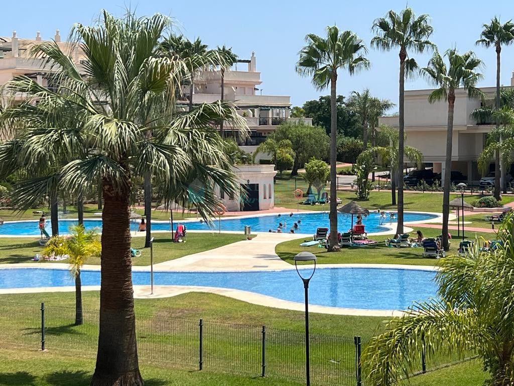 Apartment for rent in Nueva Andalucia