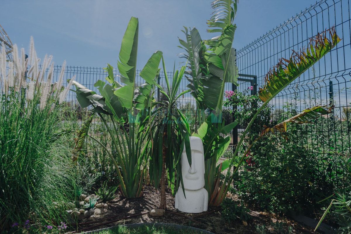 Apartamento Planta Baja en alquiler en Estepona