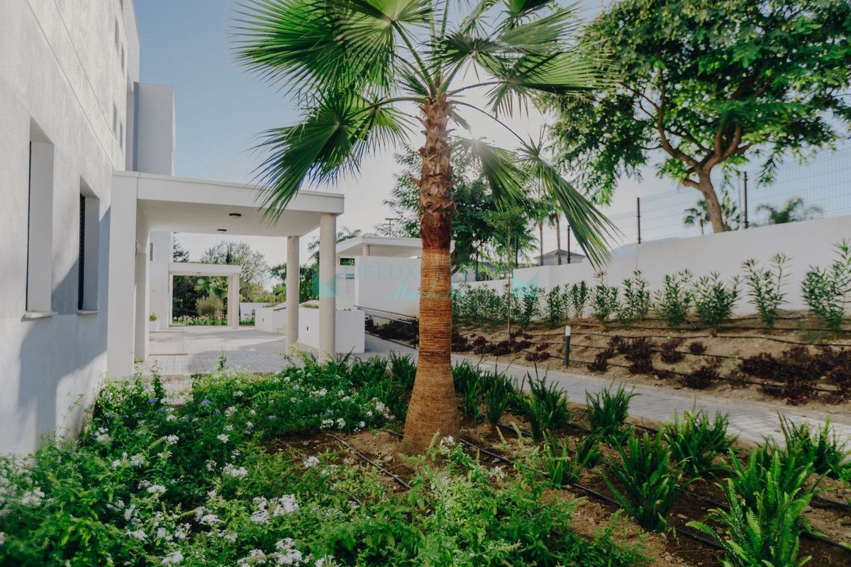 Apartamento Planta Baja en alquiler en Estepona