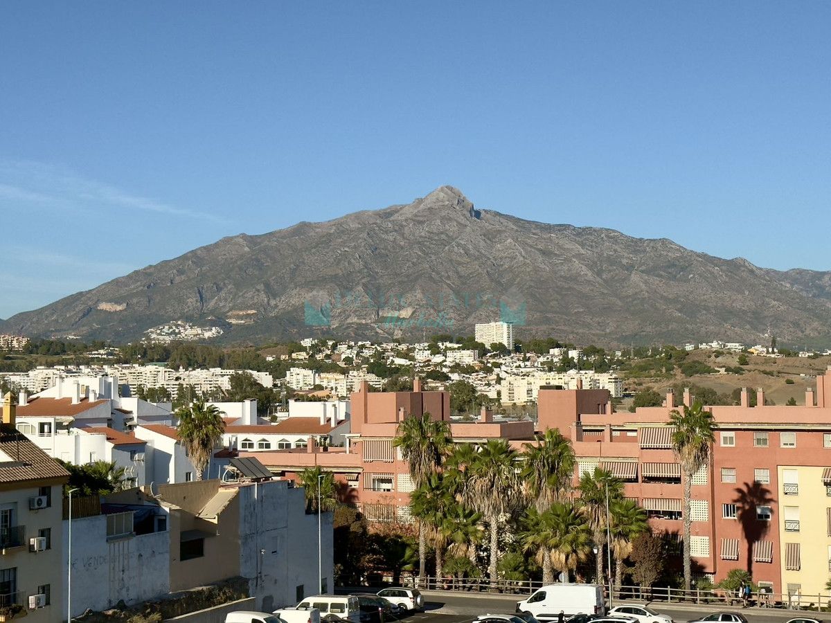 Commercial Premises for sale in San Pedro de Alcantara