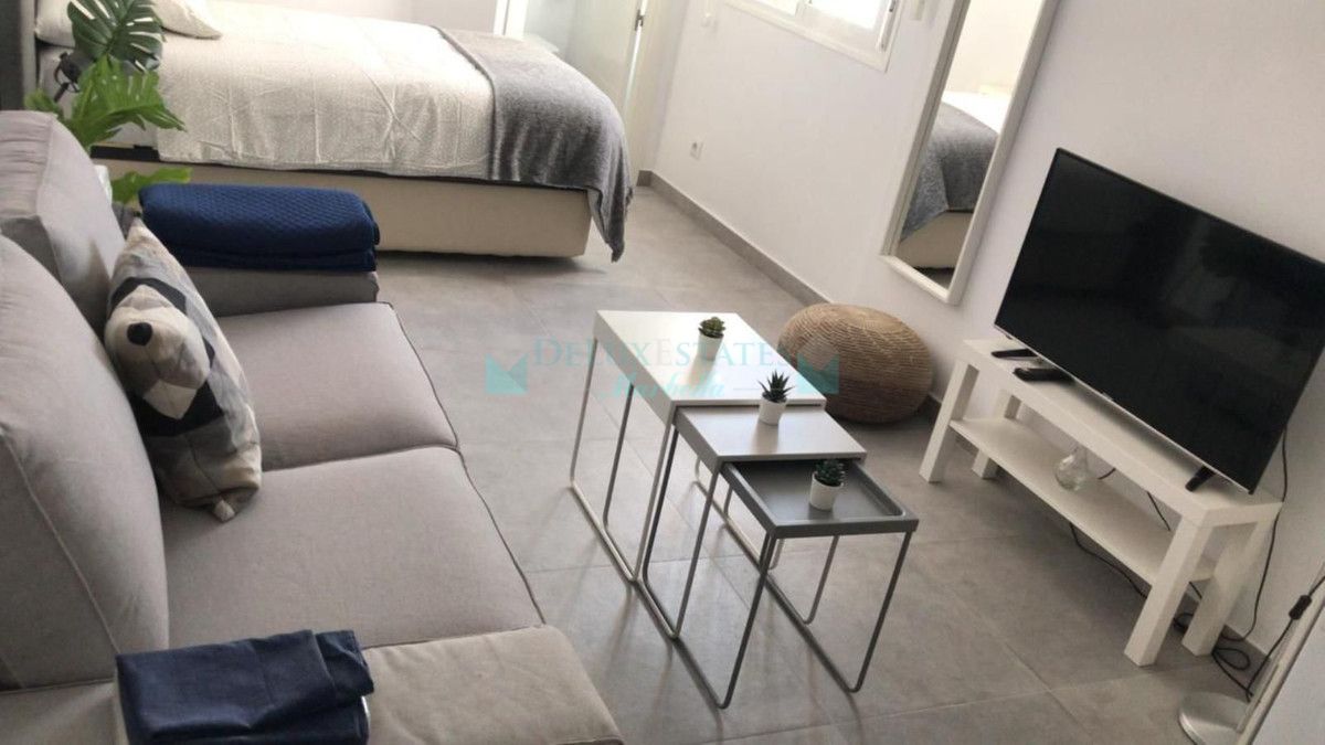 Estudio en venta en San Pedro de Alcantara