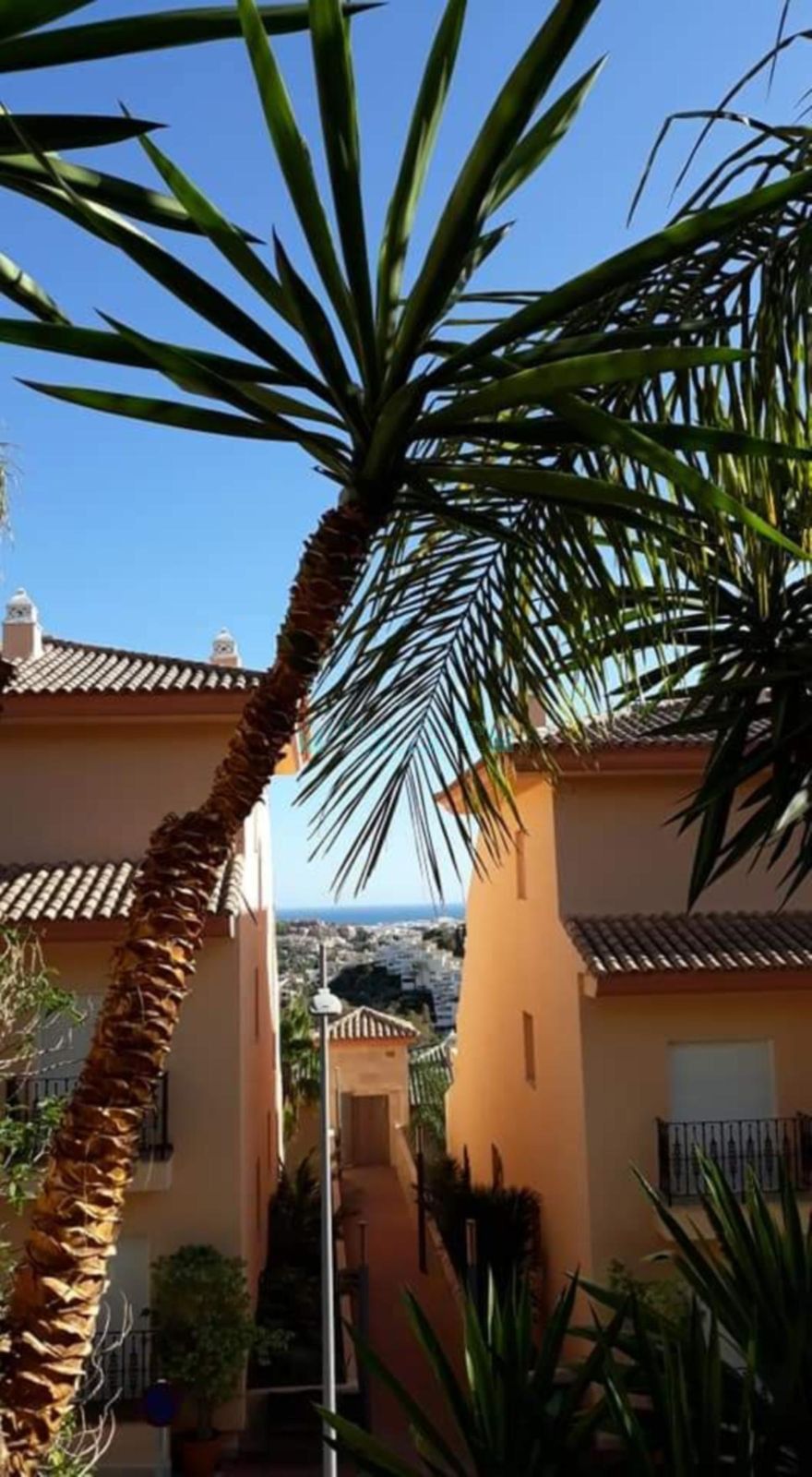 Ground Floor Apartment for sale in Marbella