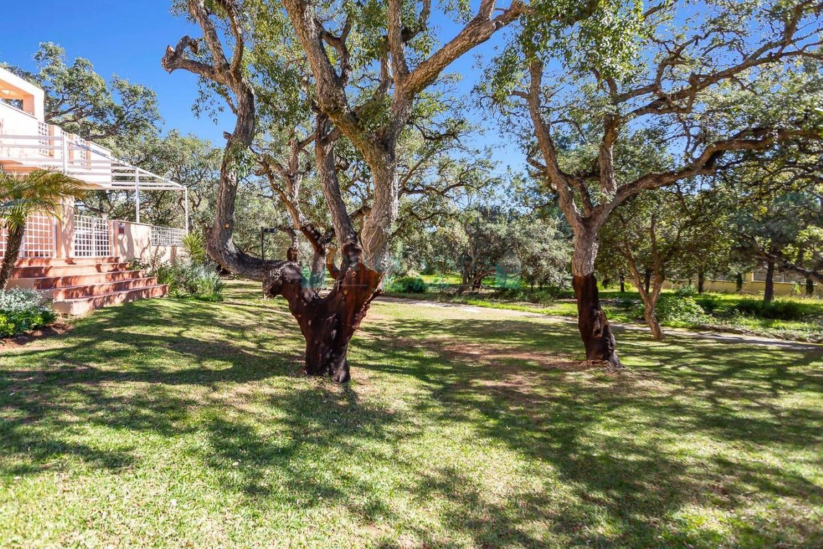 Apartment for rent in Marbella