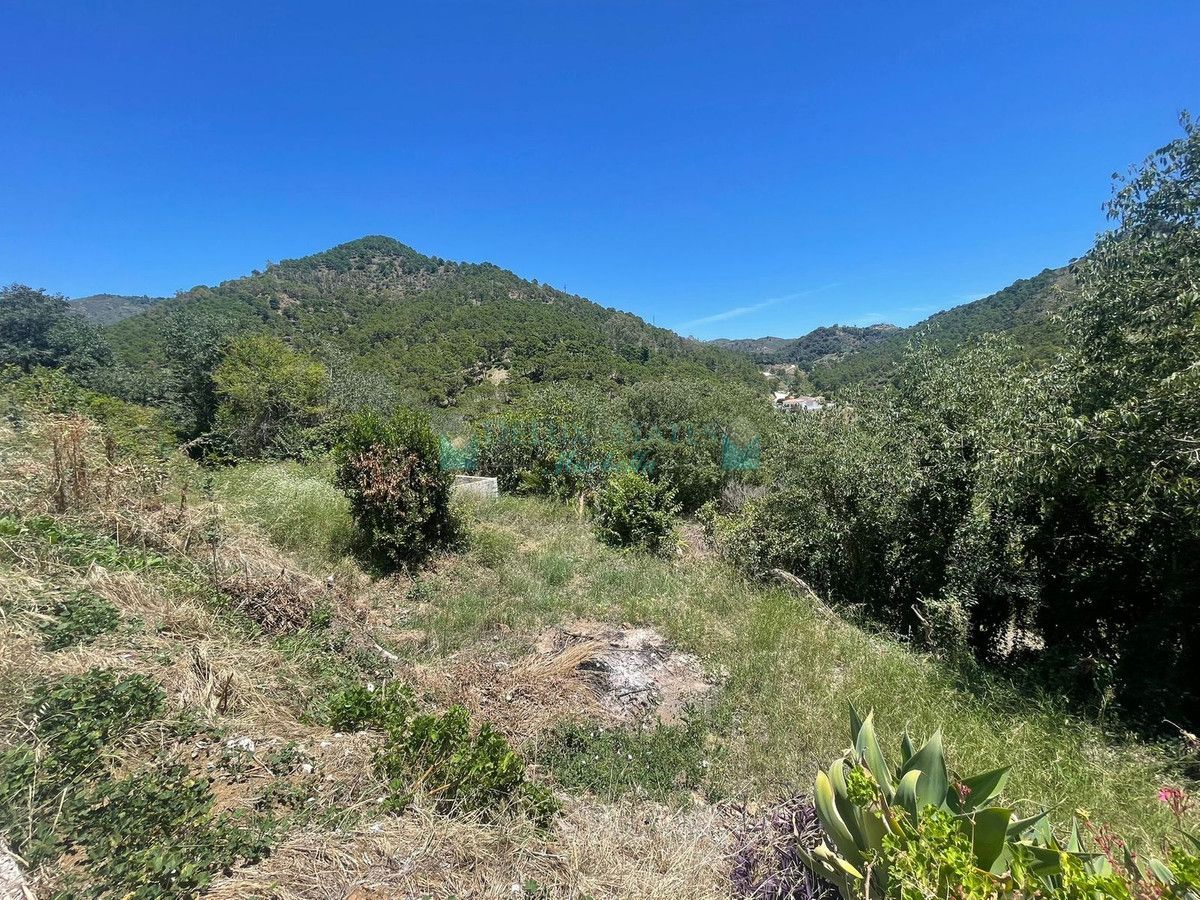 Plot for sale in Ojen