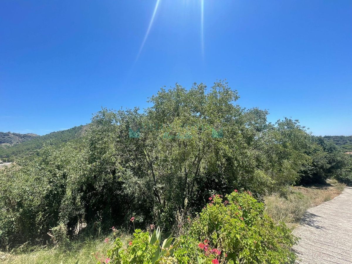 Plot for sale in Ojen