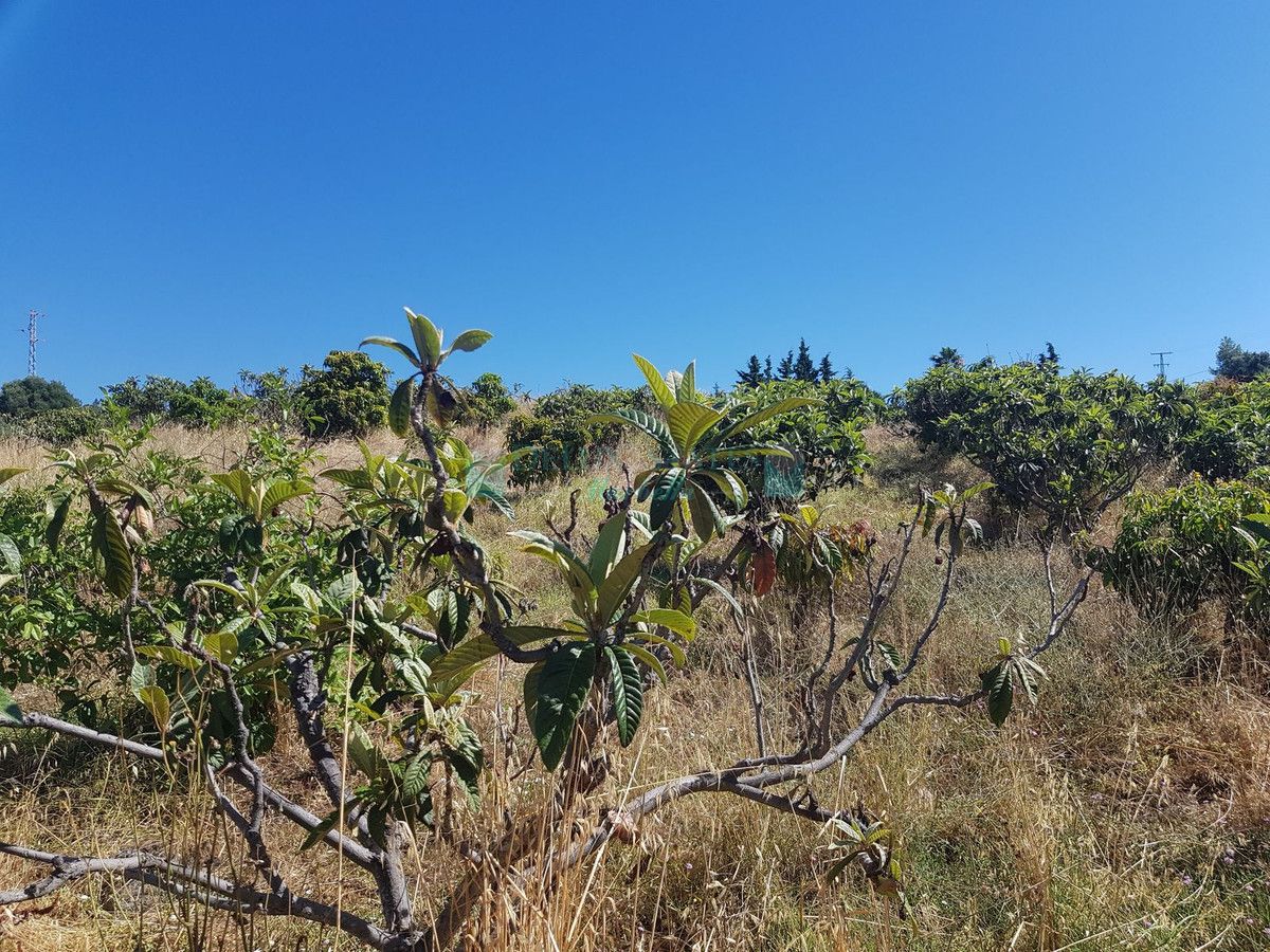 Finca en venta en Estepona