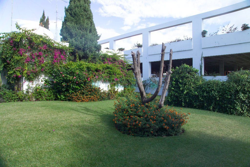 Business for rent in Estepona