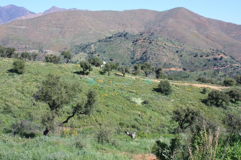 Residential Plot for sale in La Mairena, Marbella East