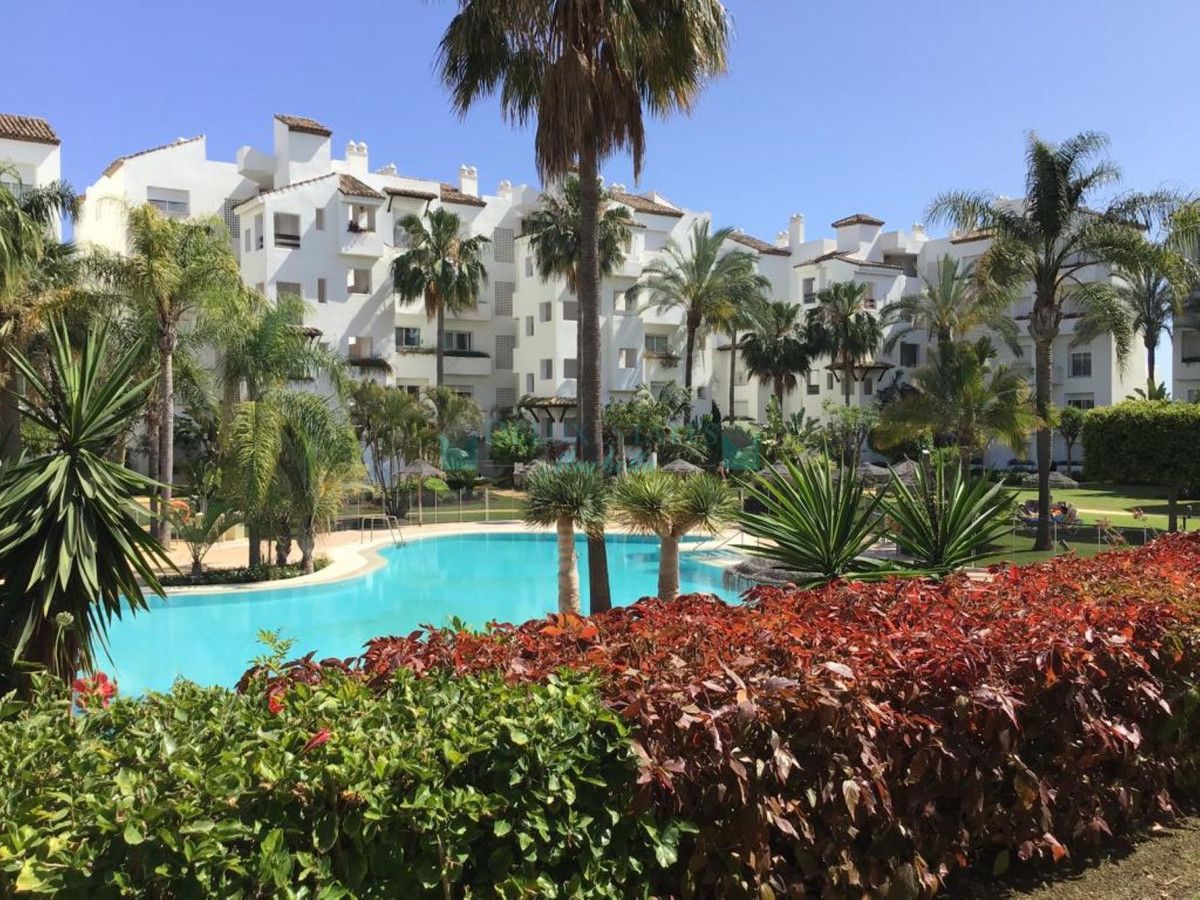 Apartment for rent in Costalita, Estepona