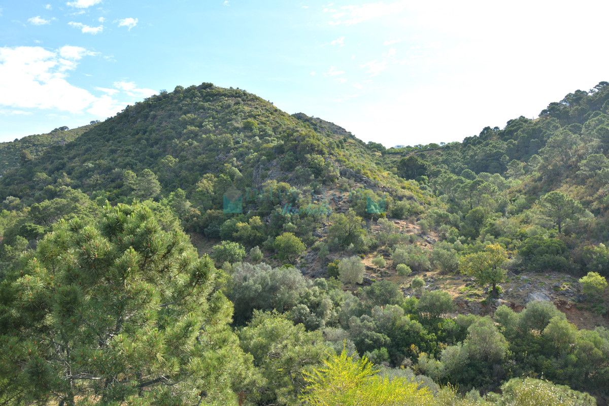 Residential Plot for sale in Benahavis