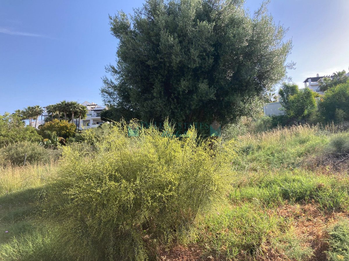 Plot for sale in Benahavis