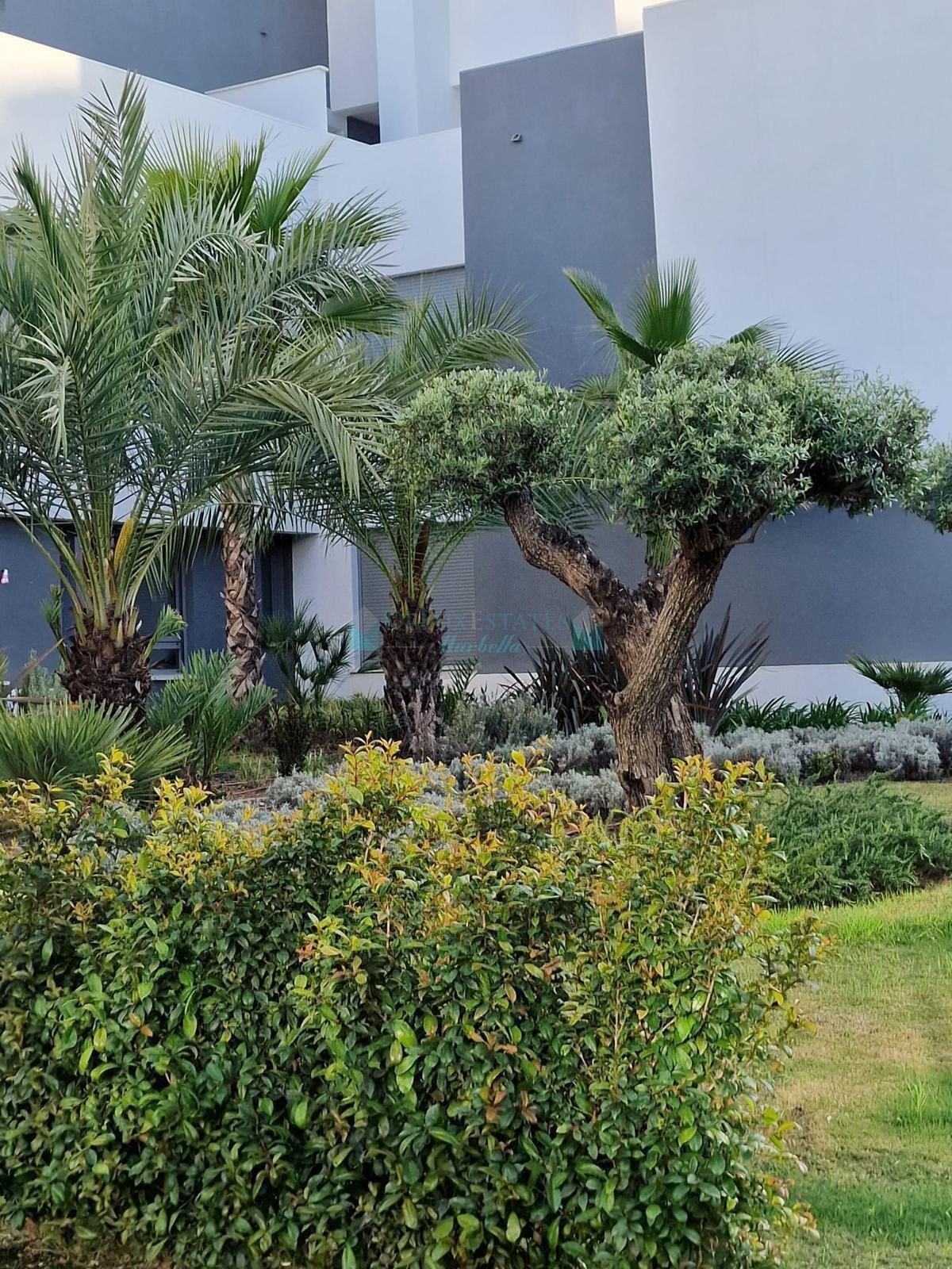Apartamento en alquiler en Estepona