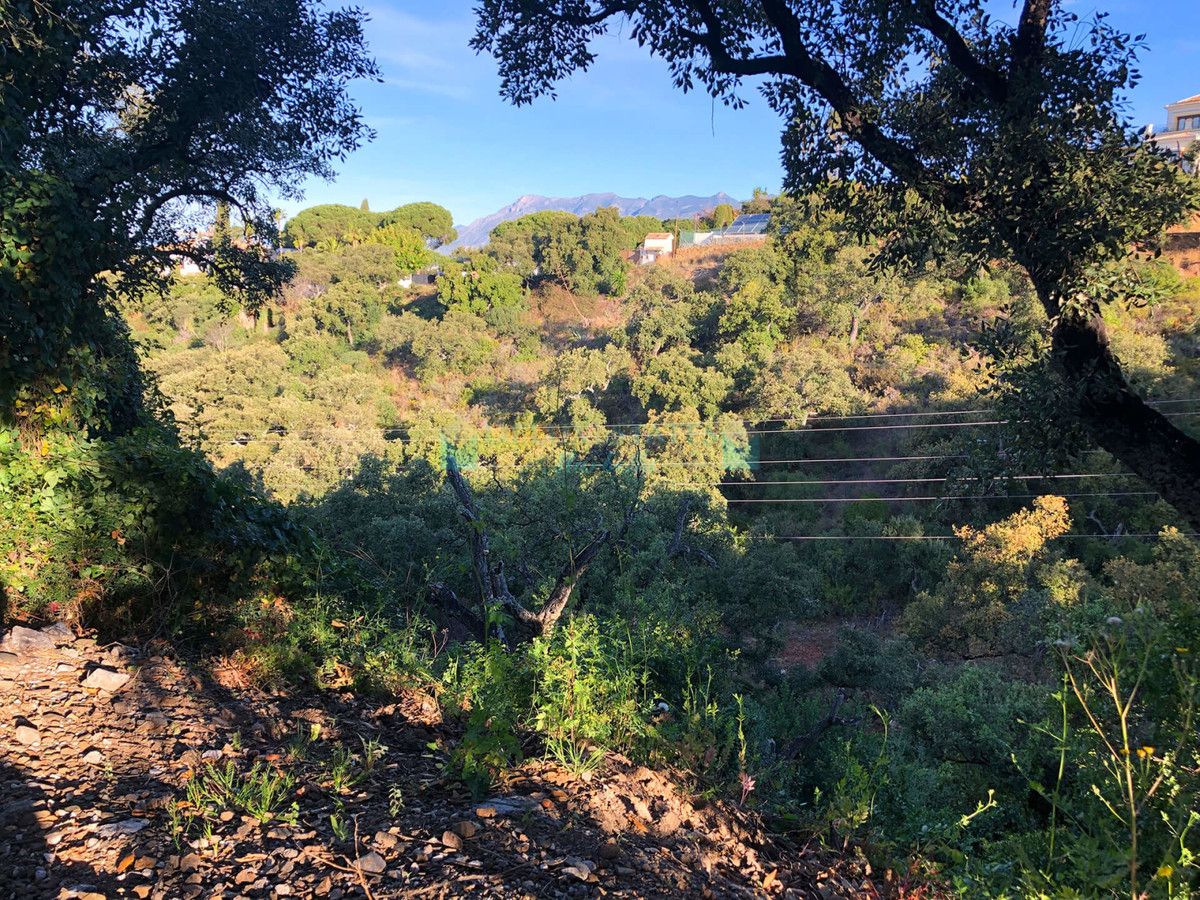 Residential Plot for sale in Elviria, Marbella East