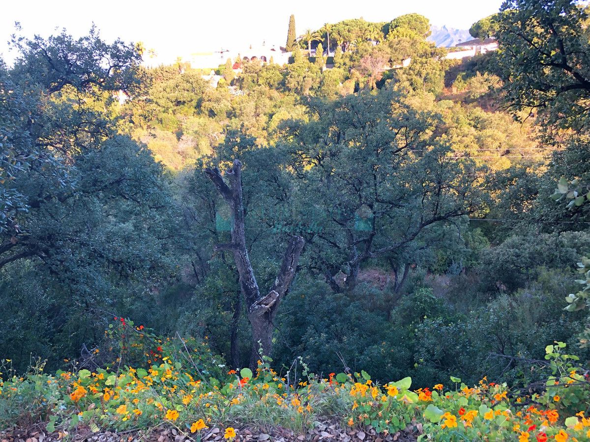 Residential Plot for sale in Elviria, Marbella East