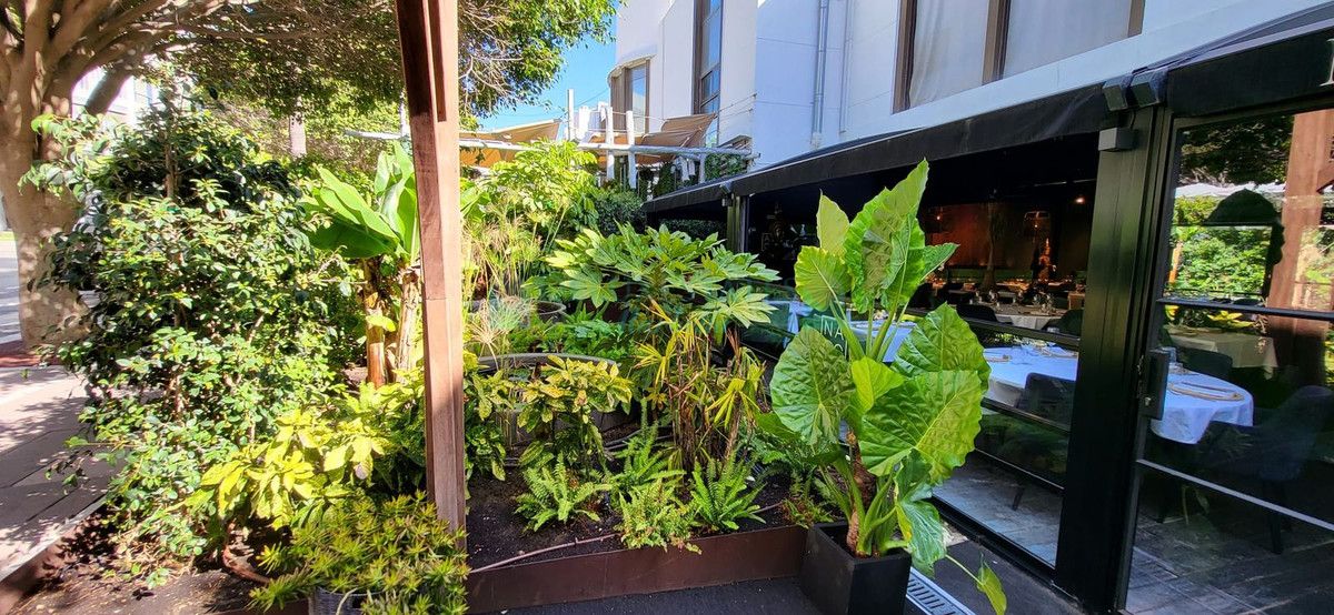 Restaurant for sale in Marbella - Puerto Banus