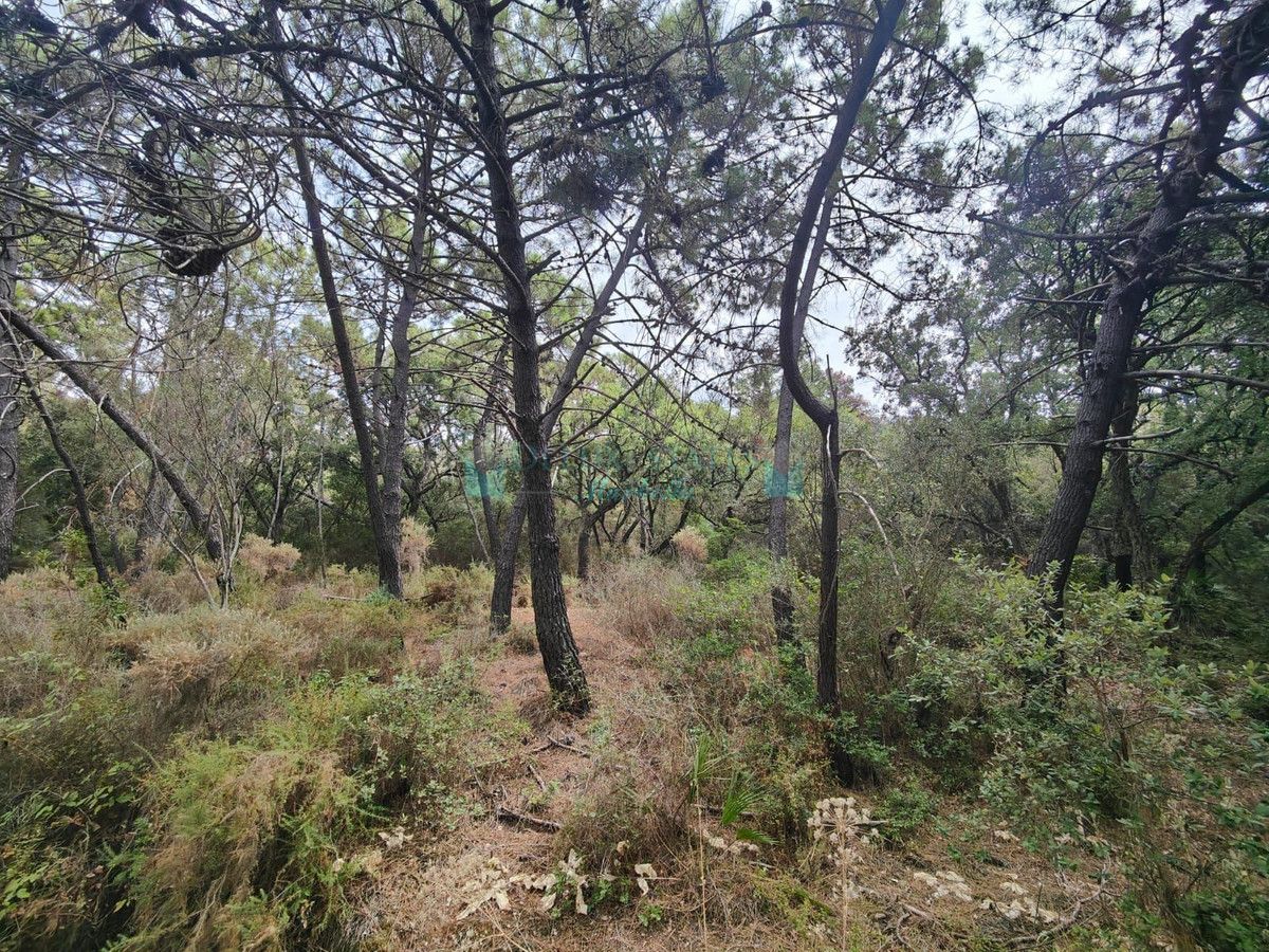 Plot for sale in Istan