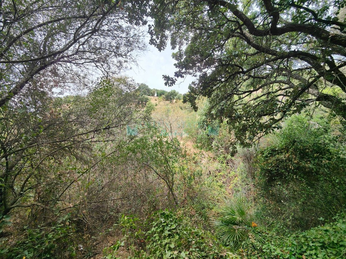 Plot for sale in Istan