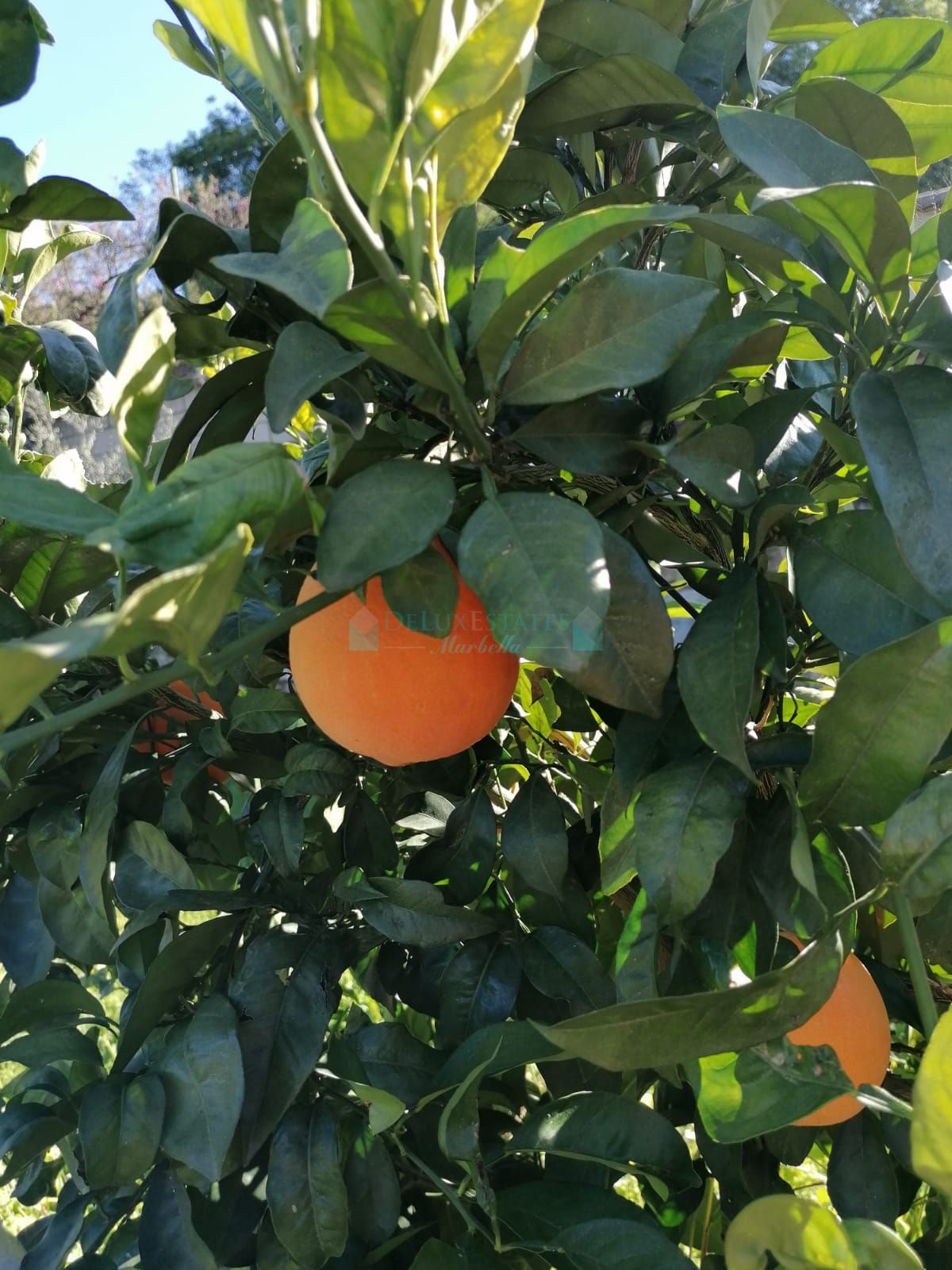 Villa for sale in Selwo, Estepona