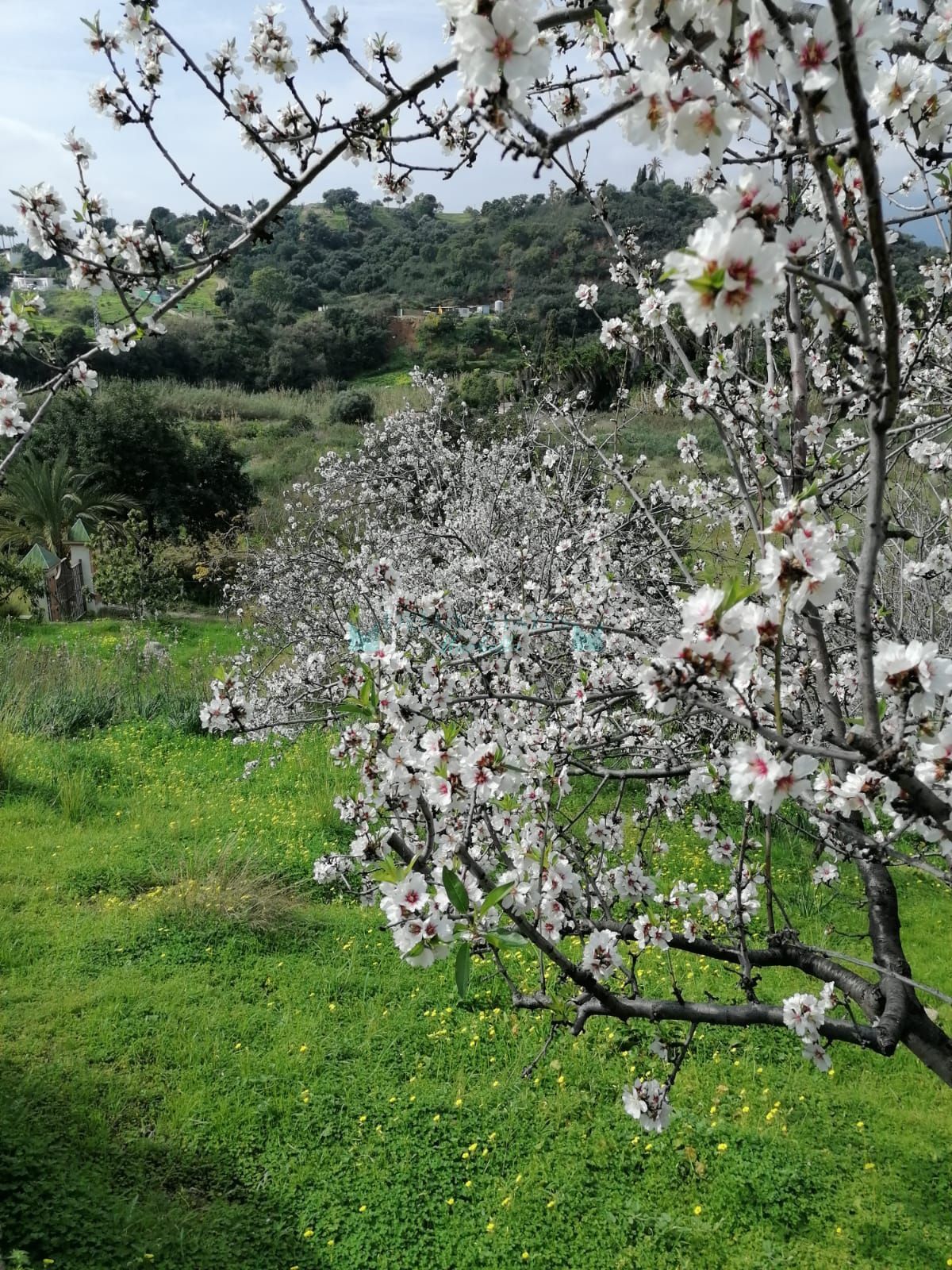 Villa for sale in Selwo, Estepona