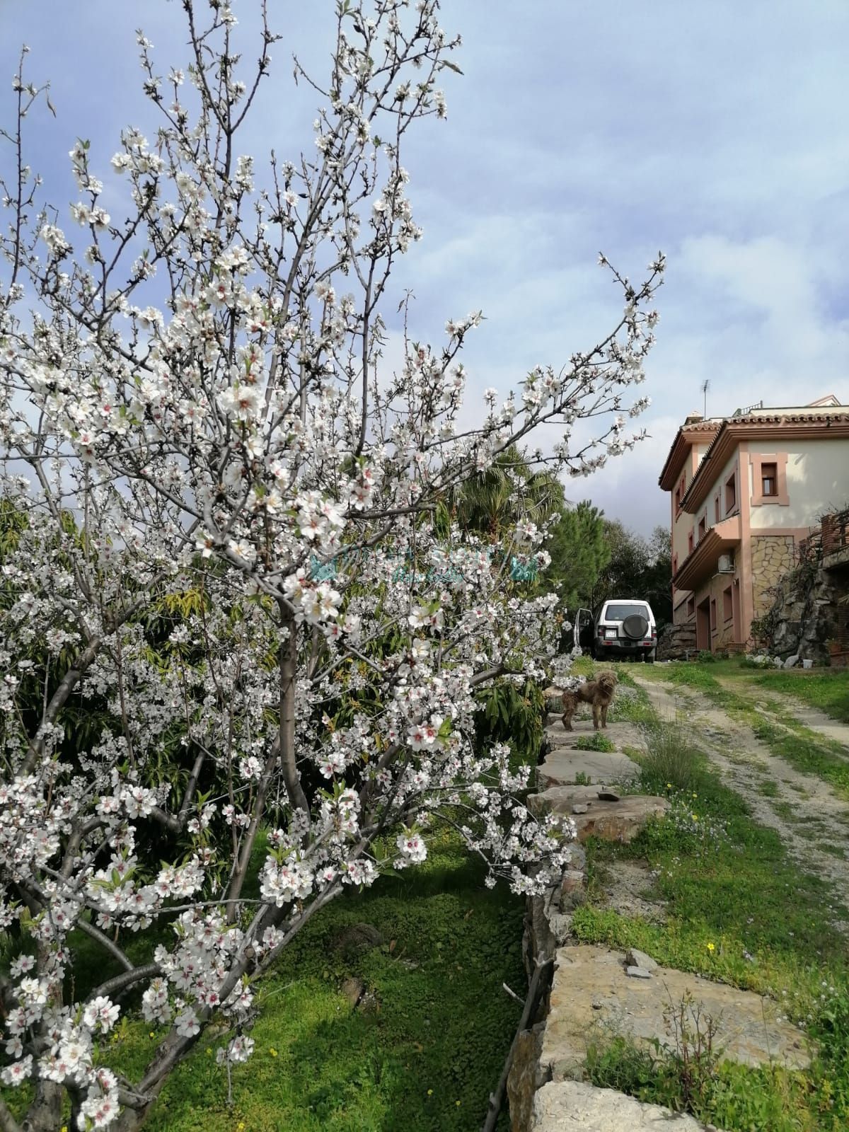 Villa for sale in Selwo, Estepona