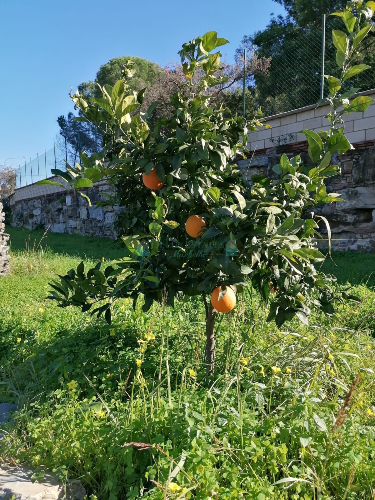 Villa for sale in Selwo, Estepona