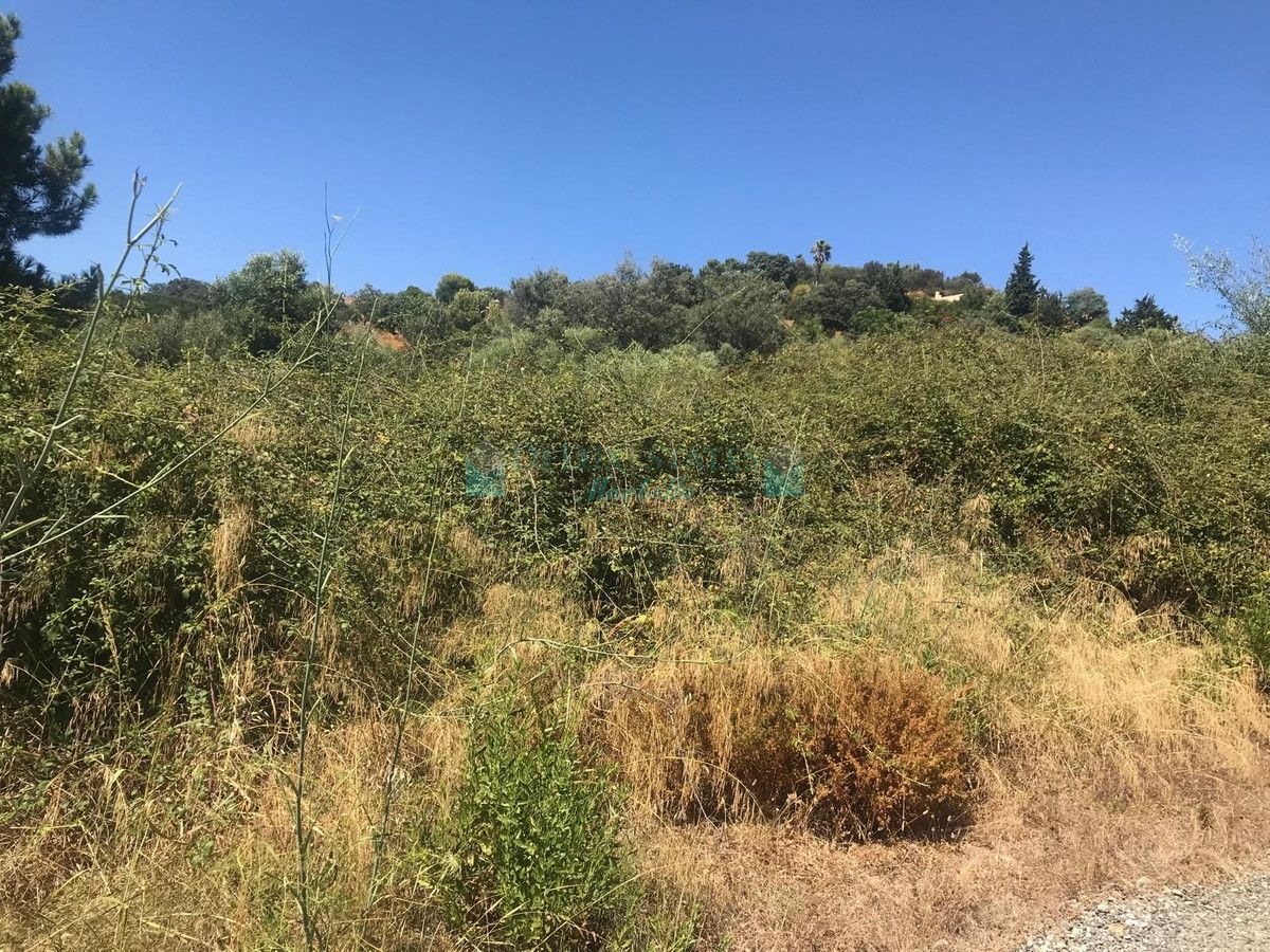 Plot for sale in Estepona