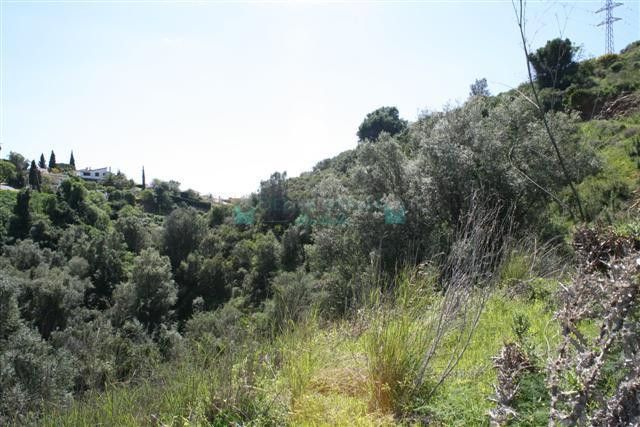 Residential Plot for sale in El Rosario, Marbella East
