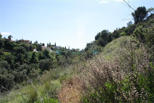 Residential Plot for sale in El Rosario, Marbella East
