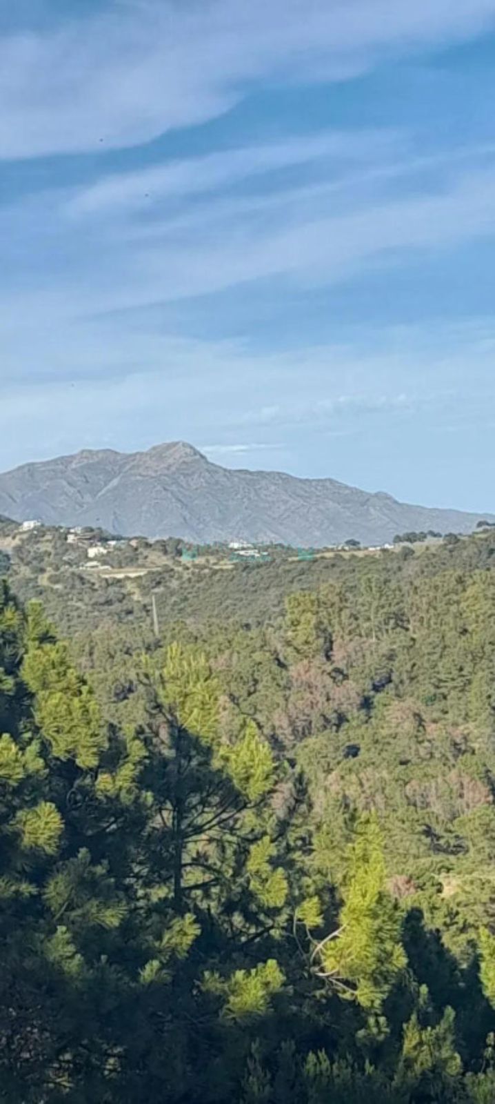 Plot for sale in Selwo, Estepona