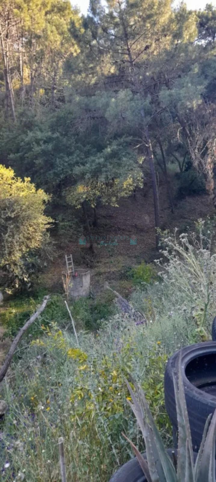 Plot for sale in Selwo, Estepona