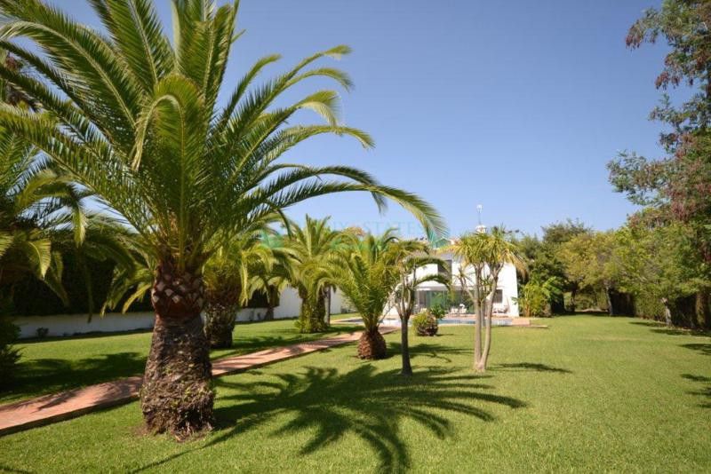 Villa for rent in Guadalmina Baja, San Pedro de Alcantara