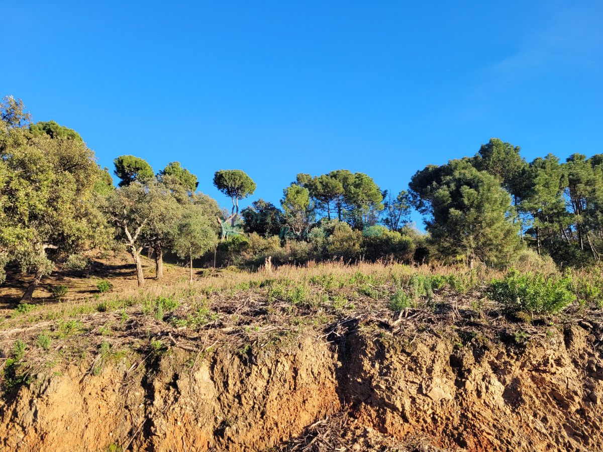 Plot for sale in La Zagaleta, Benahavis