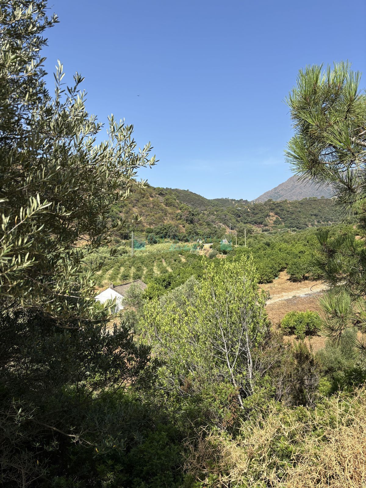 Plot for sale in El Padron, Estepona