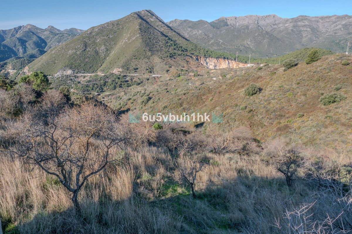 Plot for sale in Ojen