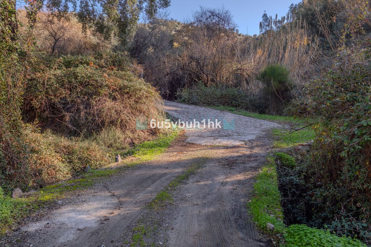 Plot for sale in Ojen