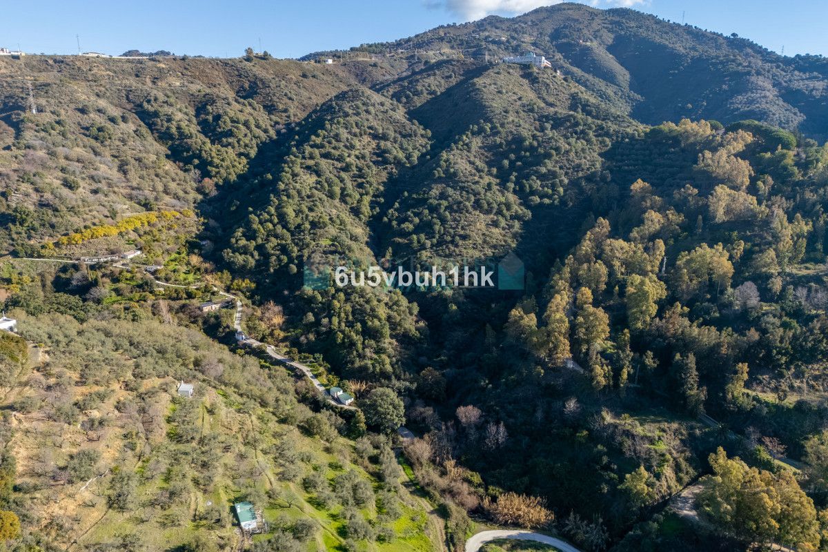 Plot for sale in Ojen