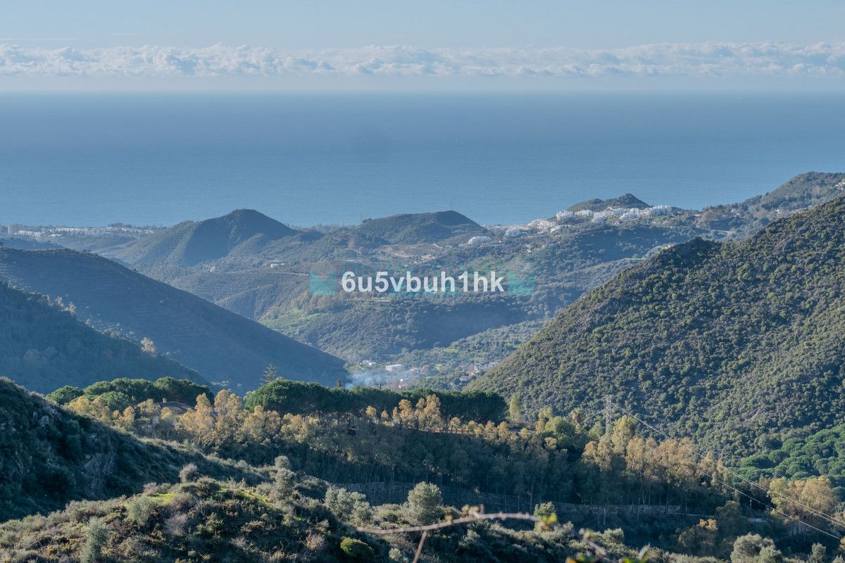 Plot for sale in Ojen