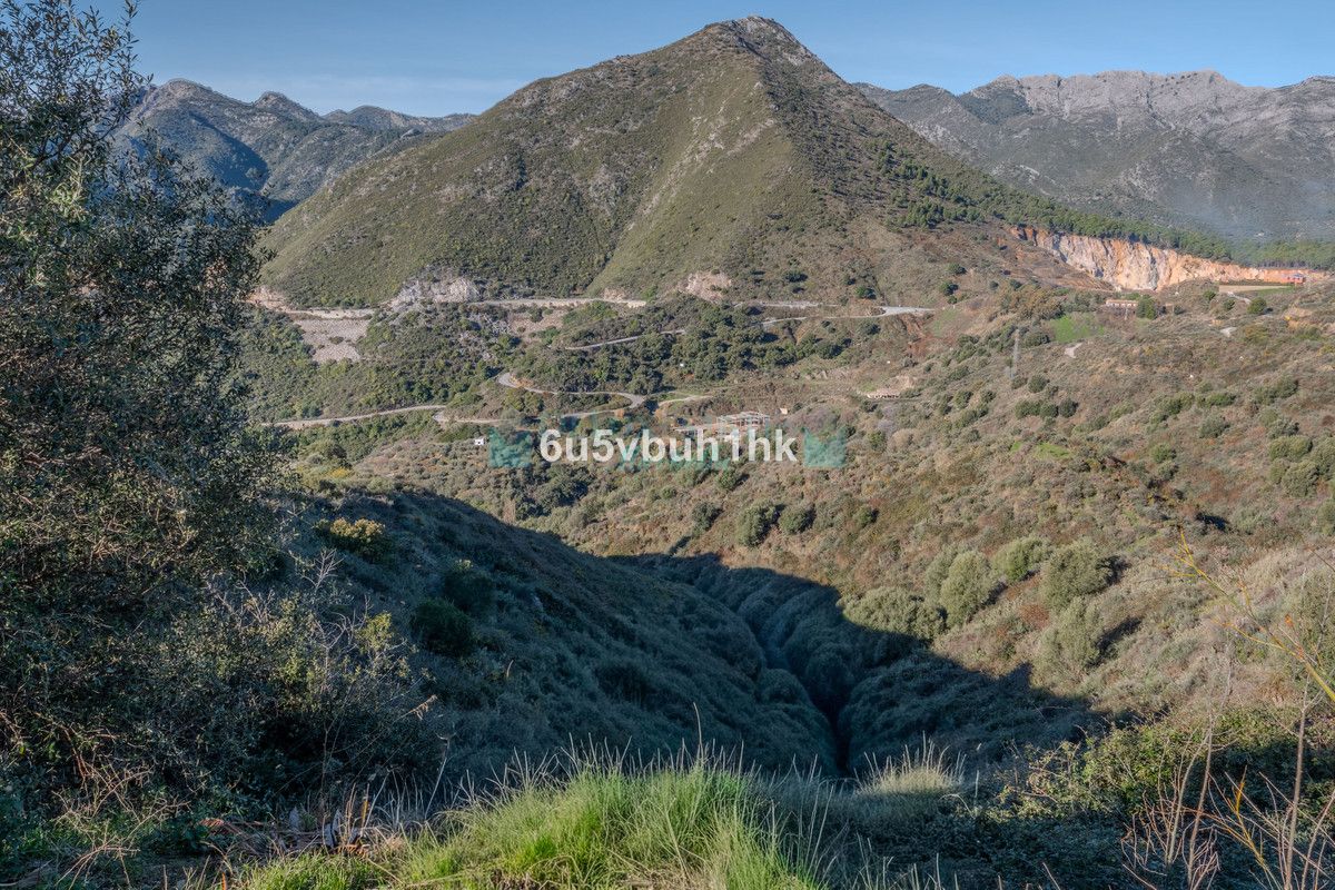 Plot for sale in Ojen