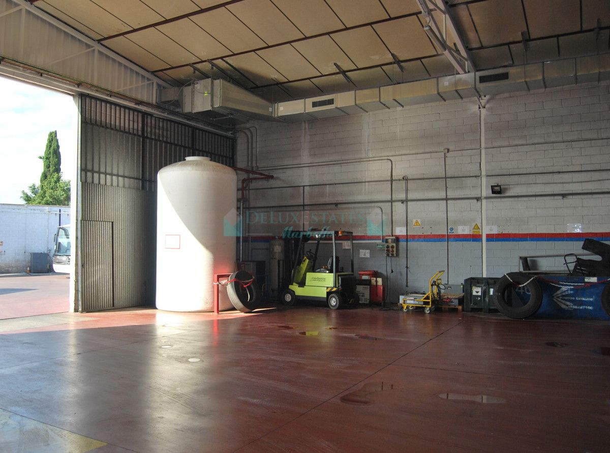 Business for sale in Marbella