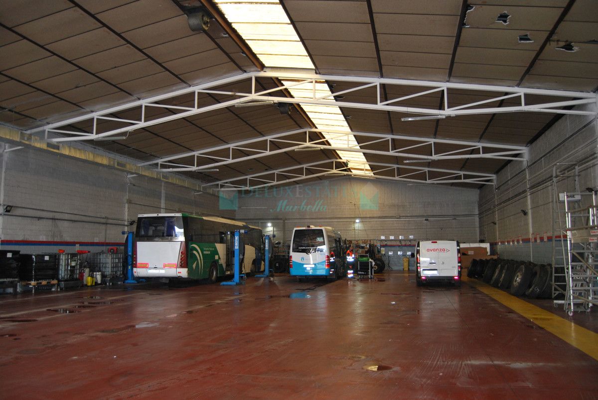 Business for sale in Marbella