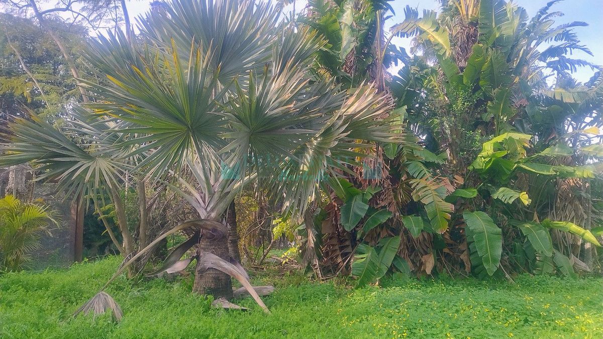 Residential Plot for sale in Hacienda las Chapas, Marbella East