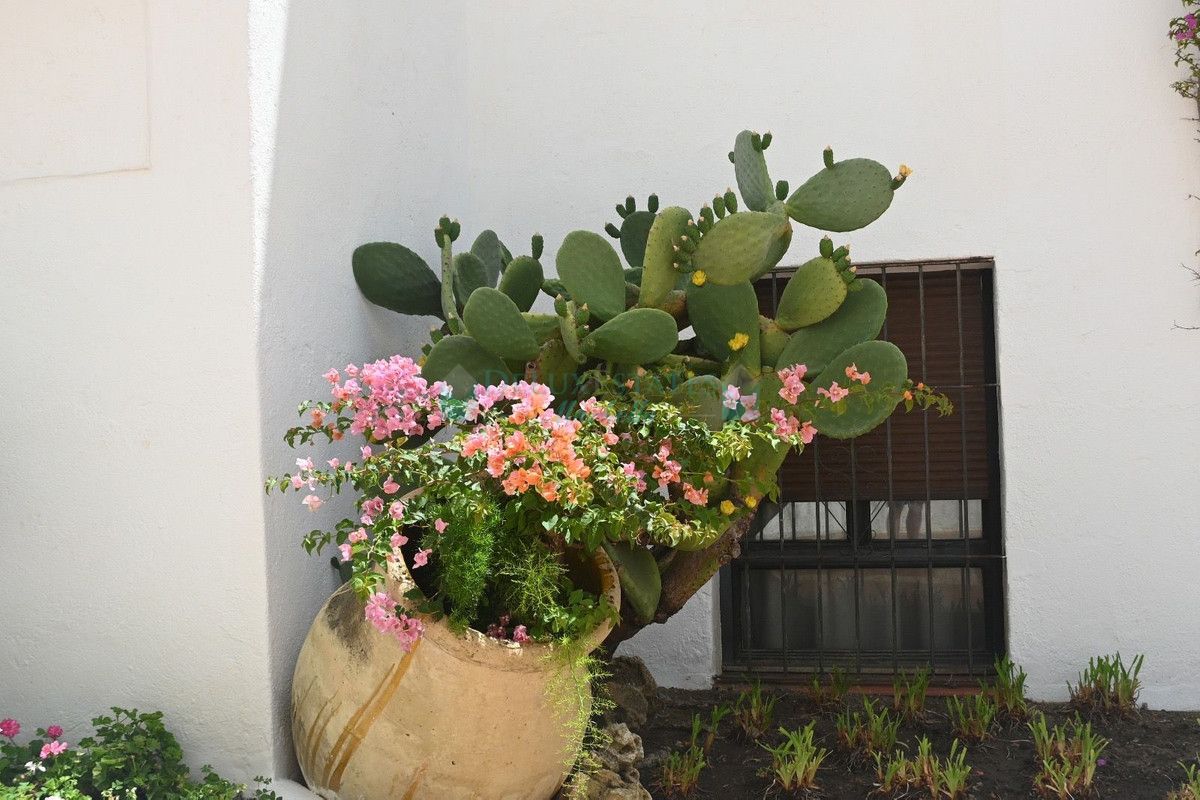 Ground Floor Apartment for sale in Nueva Andalucia