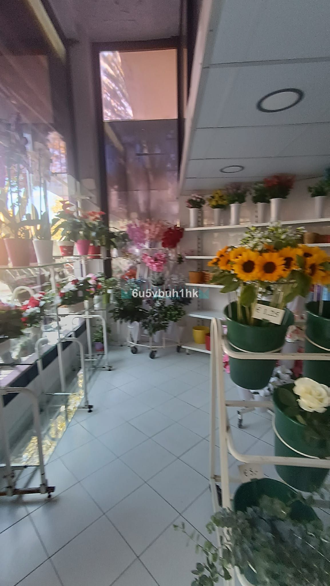 Commercial Premises for sale in Marbella