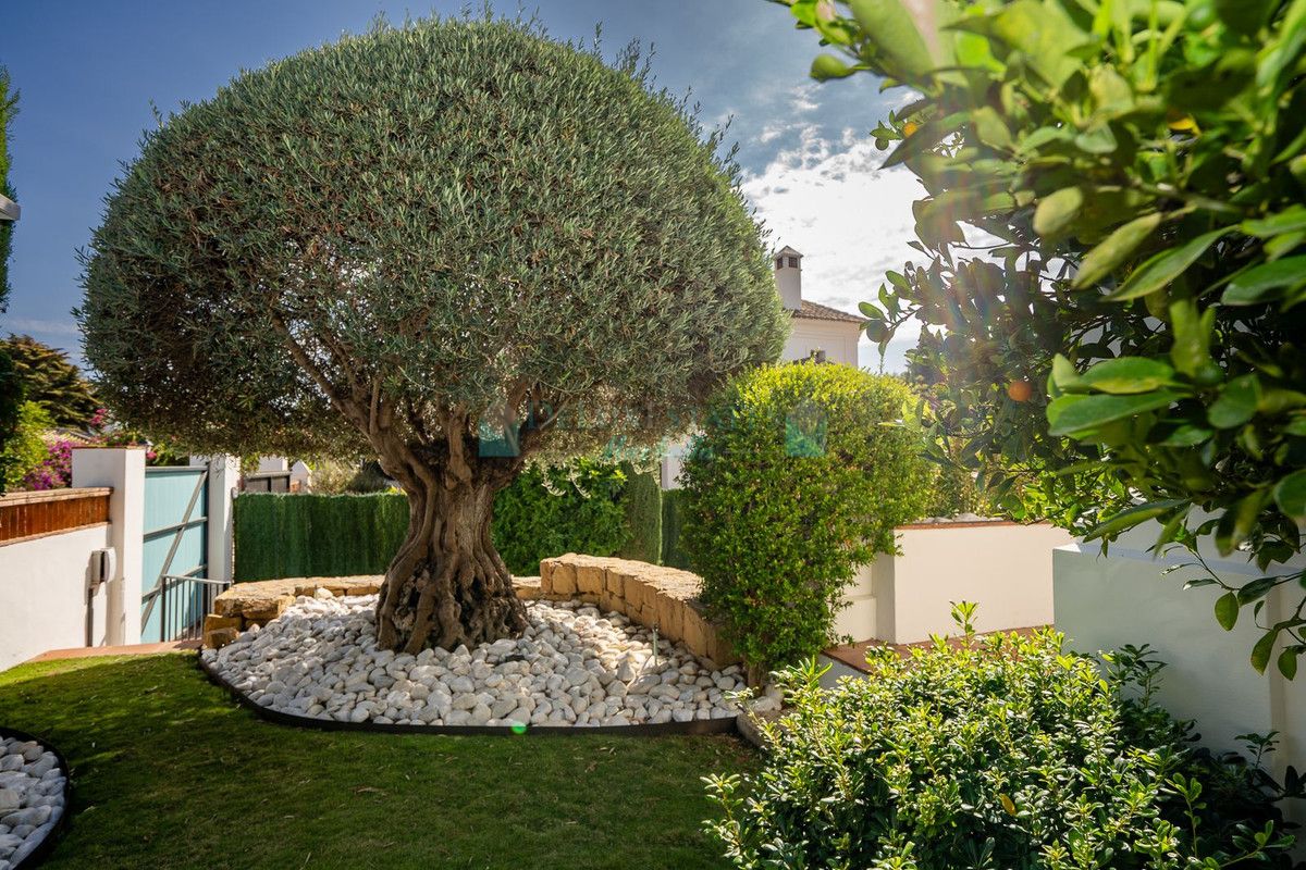 Villa for sale in Guadalmina Baja, San Pedro de Alcantara