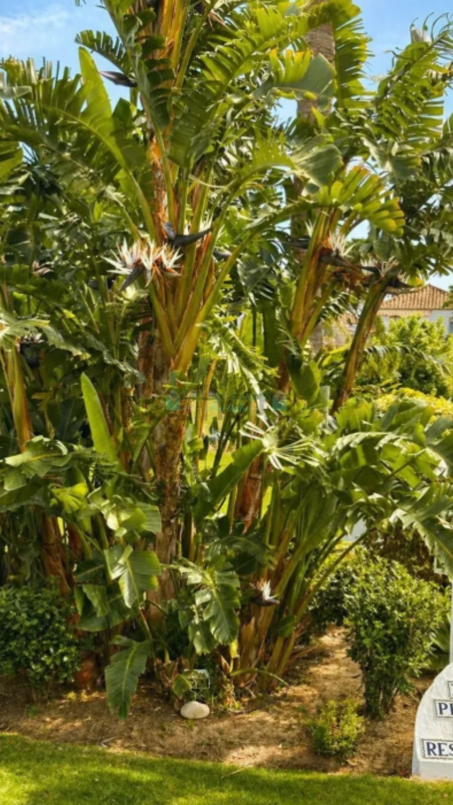 Ground Floor Apartment for sale in El Paraiso, Estepona