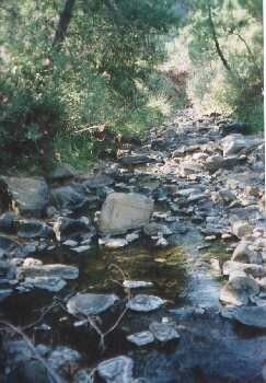 Finca for sale in Estepona