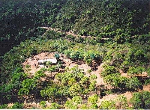 Finca for sale in Estepona